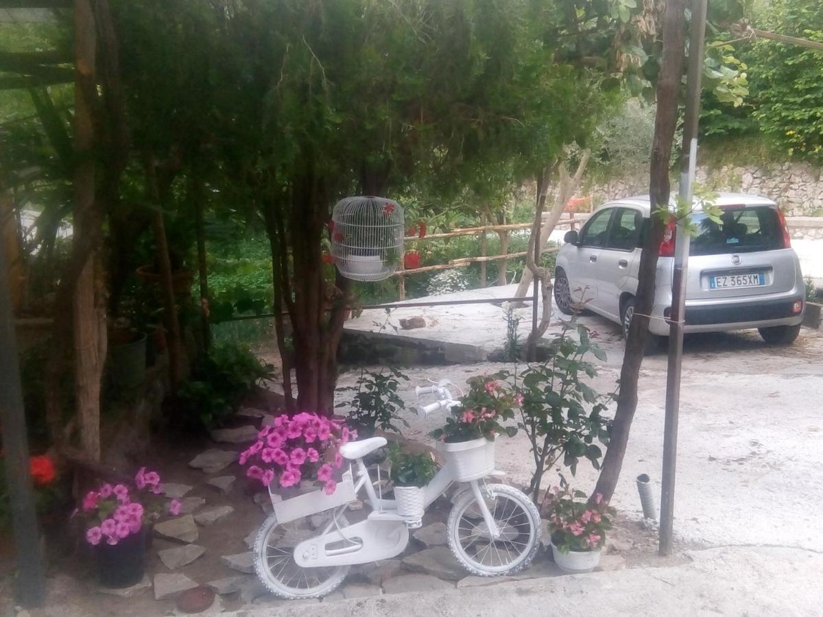 Bed and Breakfast Amaa Casa Віко-Екуенсе Екстер'єр фото